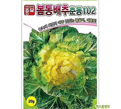 (아시아종묘/봄동배추종자씨앗) 춘동102(20g)
