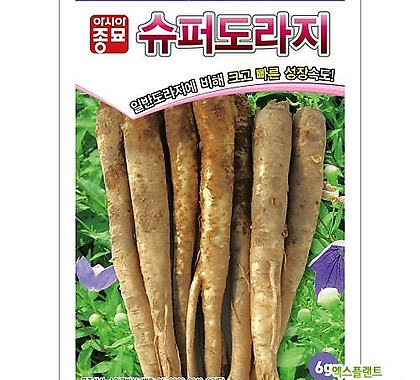 (아시아종묘/도라지종자씨앗) 슈퍼도라지(6g)