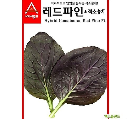 아시아종묘 다채씨앗종자 레드파인(3g) 적소송채
