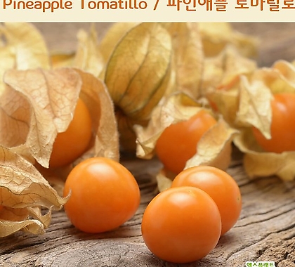 파인애플 토마틸로 Pineapple Tomatillo 희귀토마틸로 교육 체험용 세트