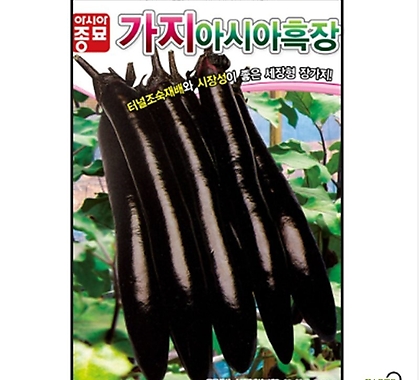 가지씨앗종자) 아시아 흑장가지(200립)
