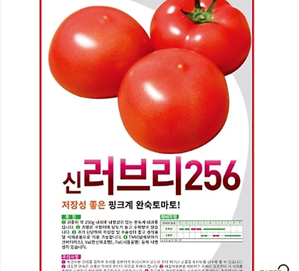 (토마토씨앗종자) 신러브리256 토마토 (20립)