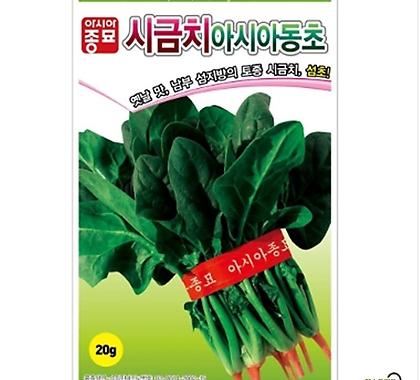 아시아종묘/시금치종자씨앗 아시아동초 시금치(400g)  월동시금치