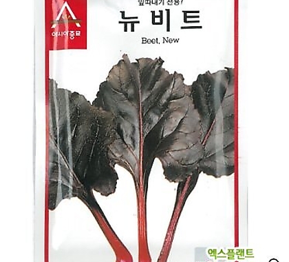 아시아종묘/비트종자씨앗 뉴비트(250g)