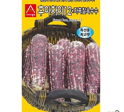 (아시아종묘/옥수수종자씨앗) 자흑찰옥수수(30g)