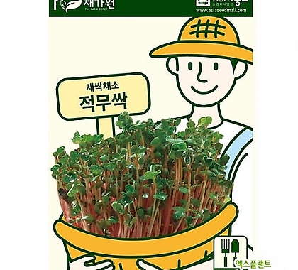 아시아종묘 새싹씨앗 적무순이(30g) 새싹채소