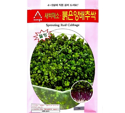 아시아종묘/새싹씨앗 적양배추싹(30g) 새싹채소