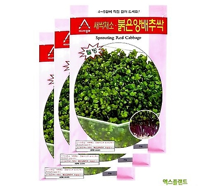 아시아종묘 채소씨앗 - 새싹씨앗 적양배추싹(30gx3) 새싹채소