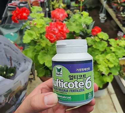 멀티코트6 식물영양제(최고급형)