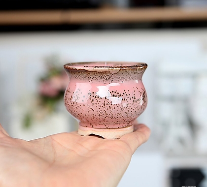 작가도예 미니 콩분 색동이(6-핑크) - 원형 다육 예쁜 도자기 잎꽂이 분재 인아트스튜디오