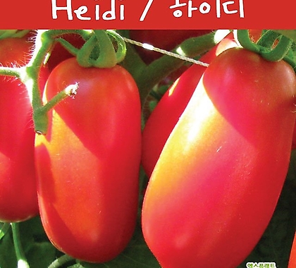 Heidi  하이디 소스토마토 희귀토마토 교육,체험용 세트