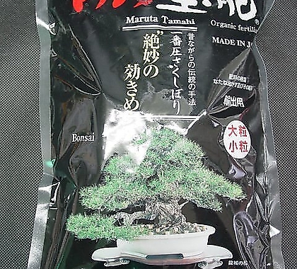 옥비-소립1kg-꿈의식물영양제-200년전통그대로-일본황궁사용품