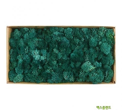 고운물가든가습효과 자연 천연 이끼모스 청녹색 1박스 (500g)