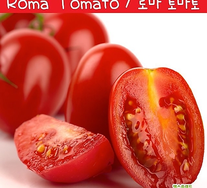 로마 토마토 Roma Tomato 소스토마토 희귀토마토 교육체험용 세트