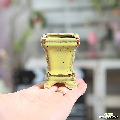 미니화분 에펠탑 다육화분(옐로우) 예쁜 사각 잎꽂이 귀여운 콩분