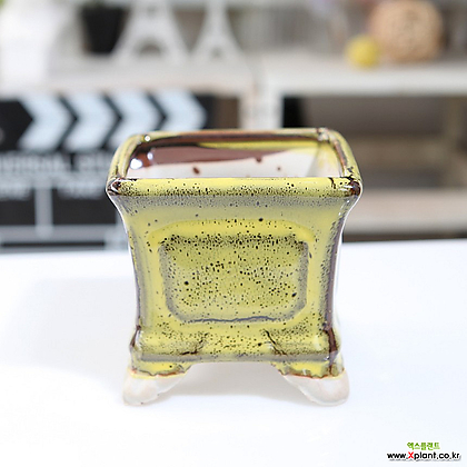중소형 컬러 정사각 다육화분(옐로우) 잎꽂이 귀여운 예쁜 사각 유광