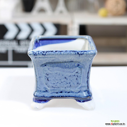 중소형 컬러 정사각 다육화분(블루) 잎꽂이 귀여운 예쁜 사각 유광