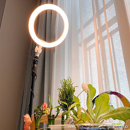 홈가드닝 식물성장등 LED 식물등 2종 높이조절 식물생장 다육이 식물조명 램프
