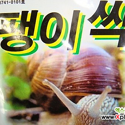 달팽이약-민달팽이유인