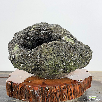 제주 화산석 제주석 자연석 호박석 현무암 -단일상품9