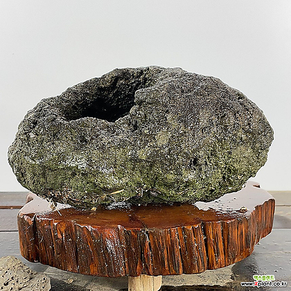 제주 화산석 제주석 자연석 호박석 현무암 -단일상품11