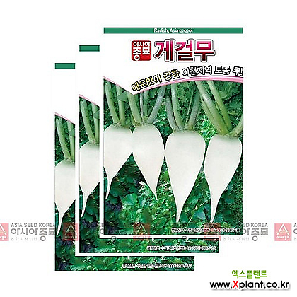 아시아종묘 채소씨앗 - 무씨앗 게걸무(300립x3) 가을무 토종무
