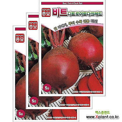 아시아종묘 채소씨앗 - 비트씨앗 디트로이트다크레드 비트(5gx3)