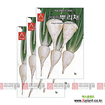 아시아종묘 채소씨앗 - 민속채소씨앗 아시아뿌리채(7gx3)