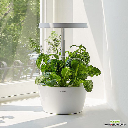 에어베리 스마트정원 가정용 식물재배기 수경재배기 LED식물등 워터펌프 탑재 FULL SET