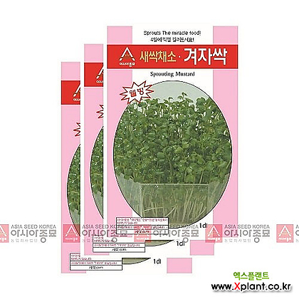 아시아종묘 채소씨앗 - 새싹씨앗 겨자싹(30gx3) 새싹채소