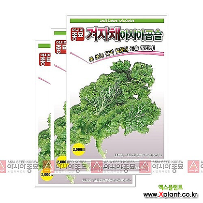 아시아종묘 채소씨앗 - 겨자씨앗 청곱슬겨자(2000립x3)