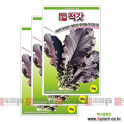 아시아종묘 채소씨앗- 갓씨앗 적갓(30gx3)
