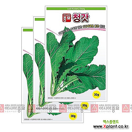 아시아종묘 채소씨앗 - 갓씨앗 청갓(30gx3)