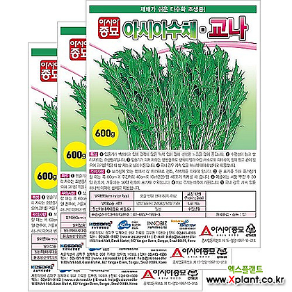 아시아종묘 채소씨앗 - 어린잎채소 경수채 교나(2000립x3)