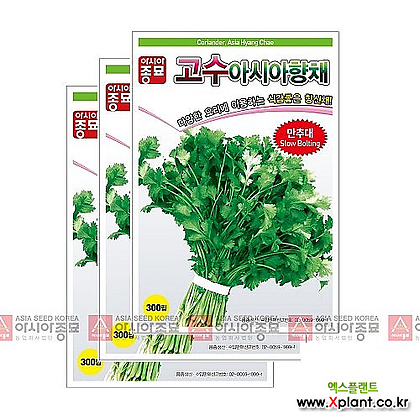 아시아종묘 채소씨앗 - 고수 아시아향채(300립x3)