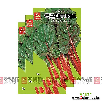 아시아종묘 채소씨앗 - 근대씨앗 적근대 루비레드(5gx3)