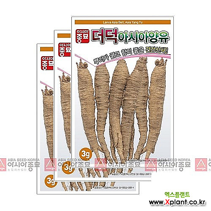 아시아종묘 채소씨앗 - 더덕 양유(3gx3)
