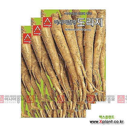 아시아종묘 채소씨앗 - 도라지-아시아길경(6gx3)