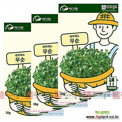아시아종묘 채소씨앗 - 새싹씨앗 무순이(30gx3) 새싹채소