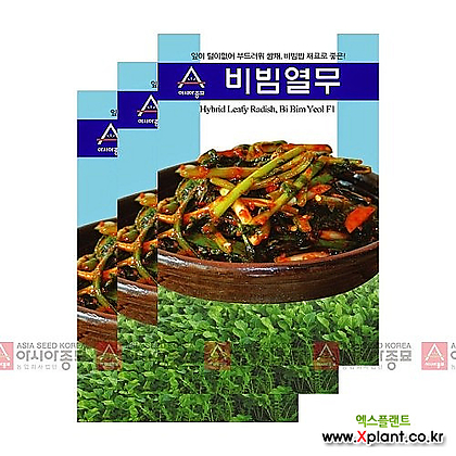 아시아종묘 채소씨앗 - 열무씨앗 비빔열무(20gx3)