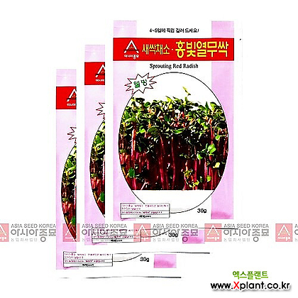 아시아종묘 채소씨앗 - 새싹씨앗 홍빛열무싹(30gx3) 새싹채소