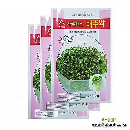 아시아종묘 새싹종자씨앗 배추싹(30gx3개) 새싹채소