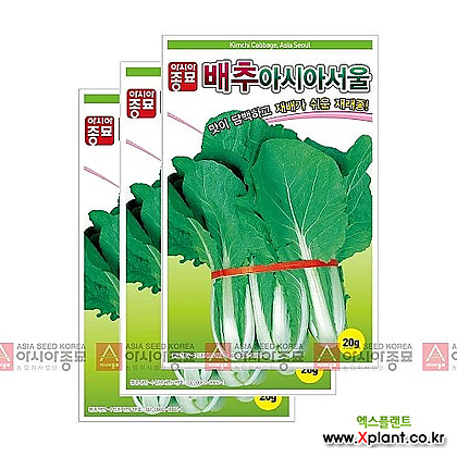 아시아종묘 채소씨앗 - 배추씨앗 아시아서울배추(20gx3) 재래종