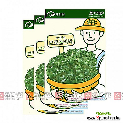 아시아종묘 채소씨앗 - 새싹씨앗 브로콜리싹(30gx3) 새싹채소