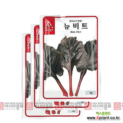 아시아종묘 채소씨앗 - 비트씨앗 뉴비트(3gx3)