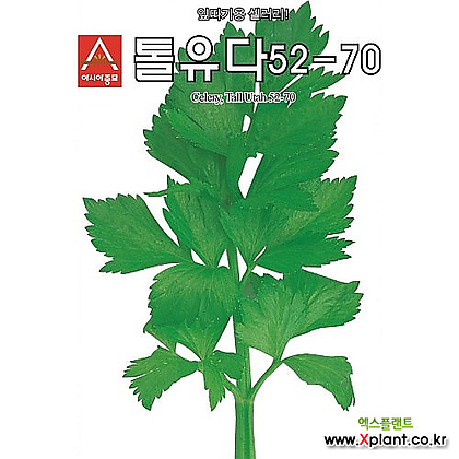 아시아종묘/ 샐러드종자씨앗 셀러리 톨유다52-70(1g)-가정원예용