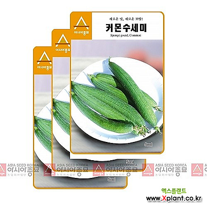 아시아종묘 채소씨앗 - 수세미씨앗 커몬수세미(30립x3)