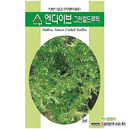 아시아종묘 치커리종자씨앗 엔다이브-그린컬드루펙(70g)