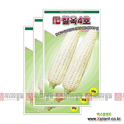 아시아종묘 채소씨앗 - 옥수수씨앗 찰옥4호(35gx3)