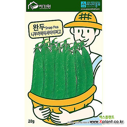 아시아종묘/콩씨앗종자 껍질째 먹는 완두콩 그린빈 - 니무라헤이세이이찌고(500g)